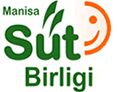 Manisa St Birlii